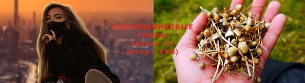 спайс Белоозёрский