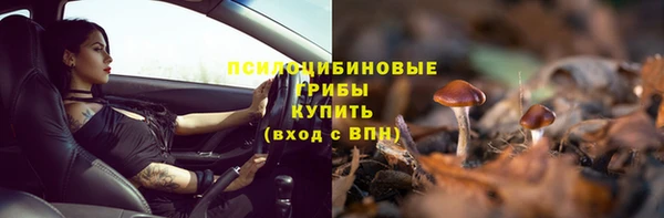 стаф Беломорск