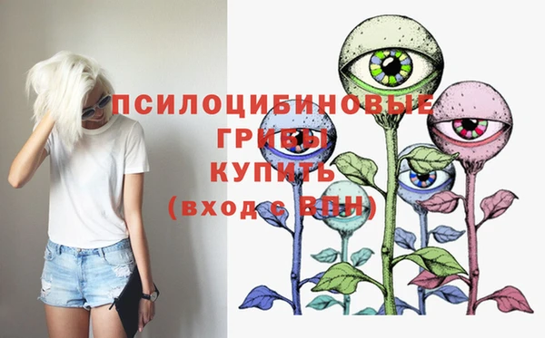 стаф Беломорск