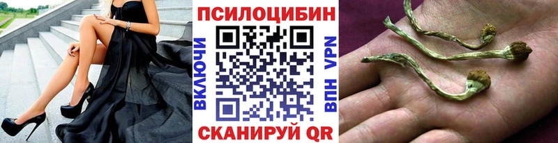 Псилоцибиновые грибы прущие грибы  продажа наркотиков  Курильск 